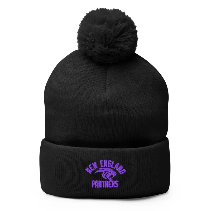 New England Panthers ❄️ Beanie